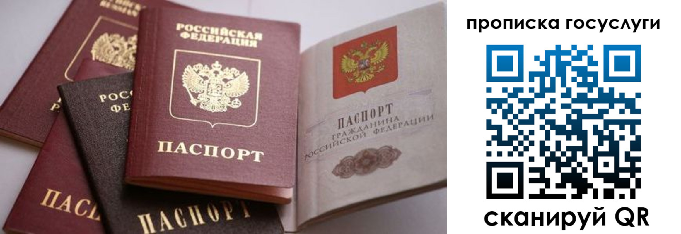 прописка иностранных граждан в Голицыно